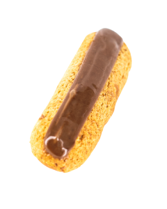 L'ÉCLAIR CHOCOLAT