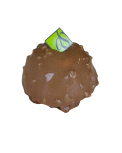 LE TRADITIONNEL PRALINÉ